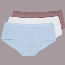 Zeeman Hipster - Blauw^DAMES Slips