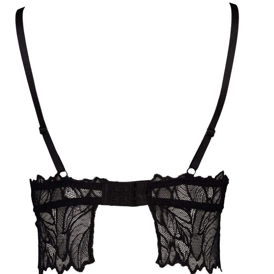 Zeeman Padded BH - Zwart^DAMES Bh's|Bh's