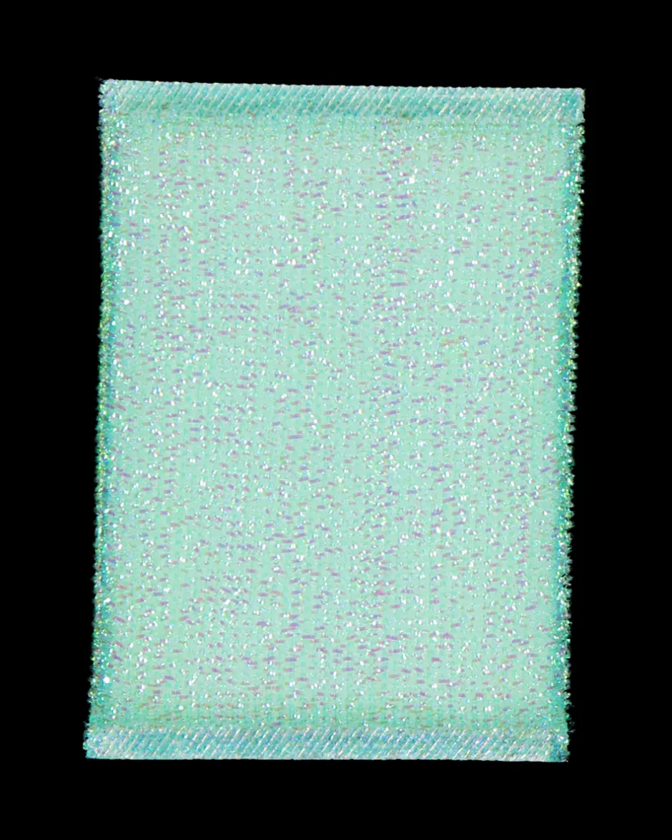 Zeeman Schuurspons - Multi-color^ Schoonmaken
