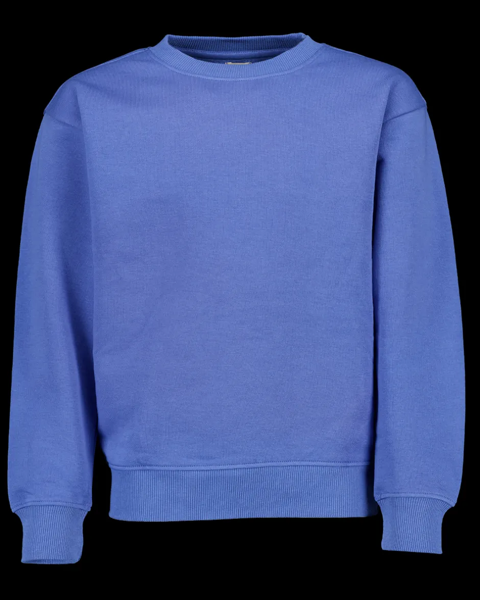 Zeeman Sweater - Blauw^ Truien & Vesten|Truien & Vesten