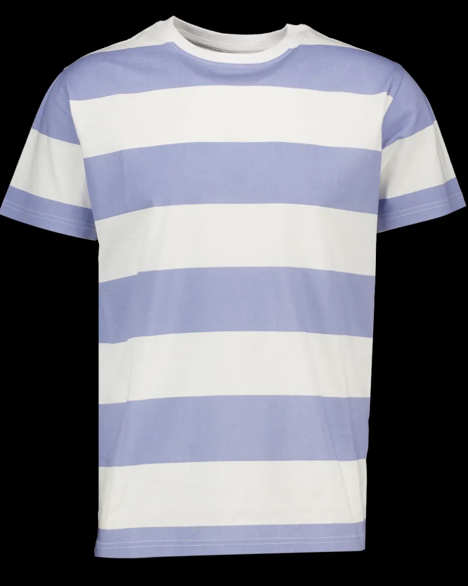 Zeeman T-shirt - Blauw^Heren T-shirts & Polo's