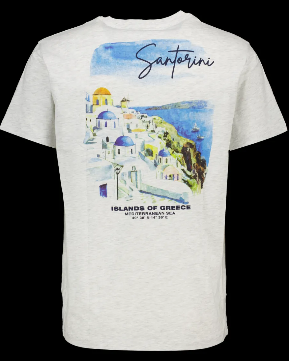 Zeeman T-shirt - Grijs^Heren T-shirts & Polo's