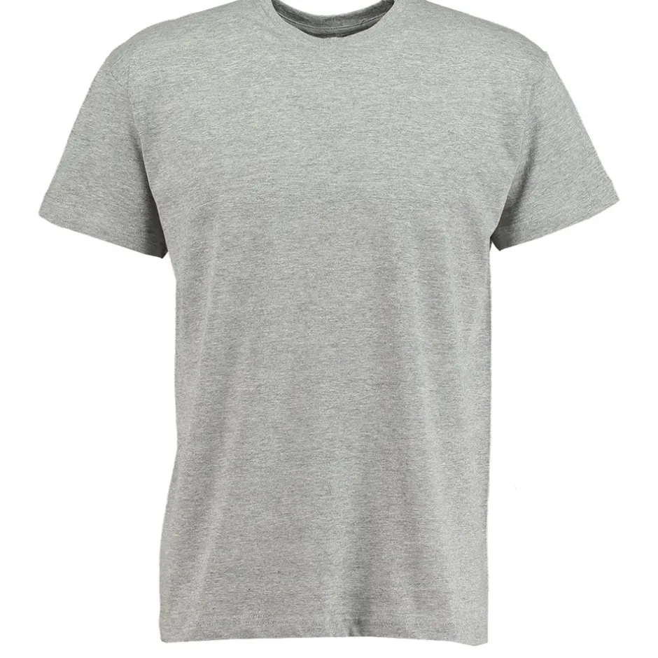 Zeeman T-shirt - Grijs^Heren Shirts|T-shirts & Tops
