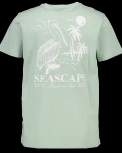 Zeeman T-shirt - Groen^Heren T-shirts & Polo's