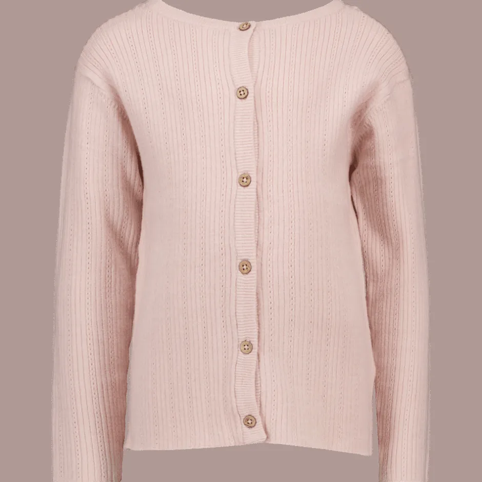 Zeeman Vest - Roze^ Truien & Vesten